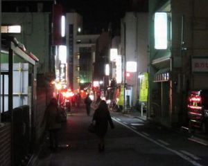 千葉栄町の居酒屋でピンクコンパニオン宴会・画像