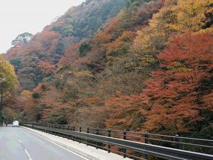 置く湯河原温泉の紅葉